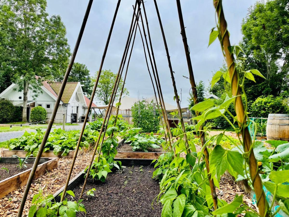 Pod Huisje Met Hottub Dokkum Buitenkant foto